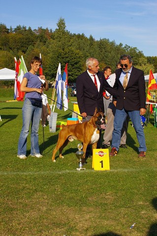 www.boxer-show.eu